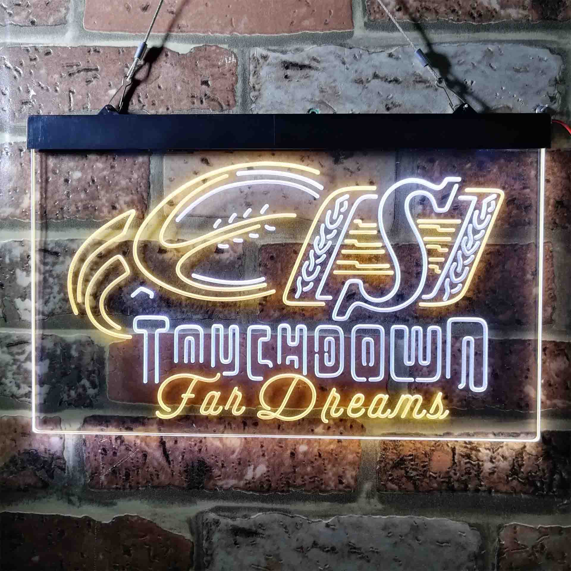 Saskatchewan Roughriders LED Sign Home Bar Decor